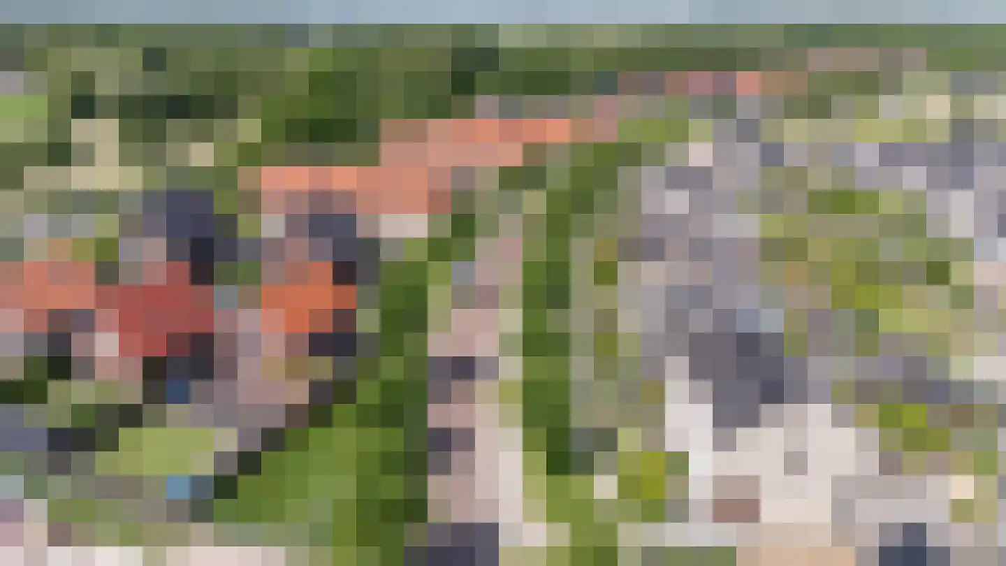 Glazenmaker 4 Epe thumbnail 44