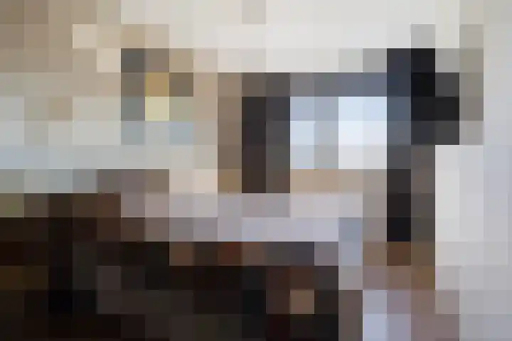 Glazenmaker 46 Epe thumbnail 26