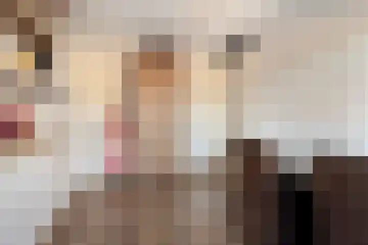 Glazenmaker 46 Epe thumbnail 30