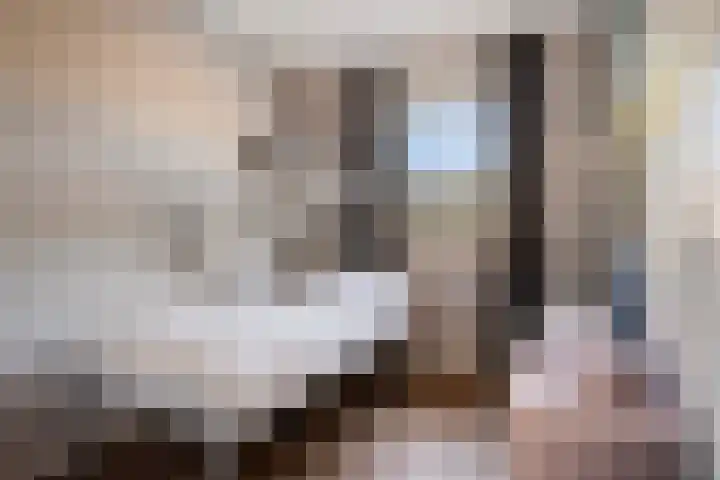 Glazenmaker 46 Epe thumbnail 31
