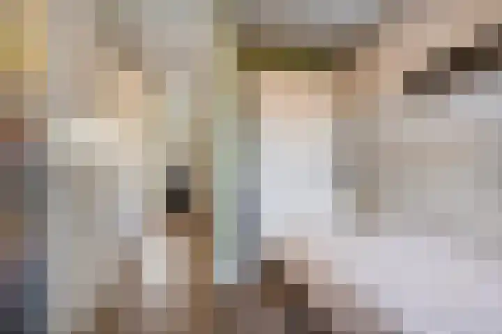 Glazenmaker 46 Epe thumbnail 32
