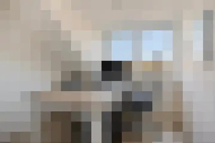 Glazenmaker 46 Epe thumbnail 35