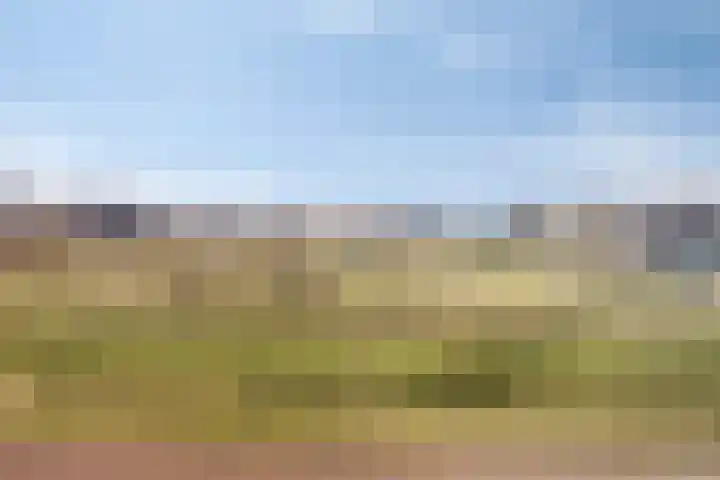 Glazenmaker 46 Epe thumbnail 37