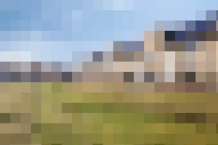 Glazenmaker 46 Epe thumbnail 4