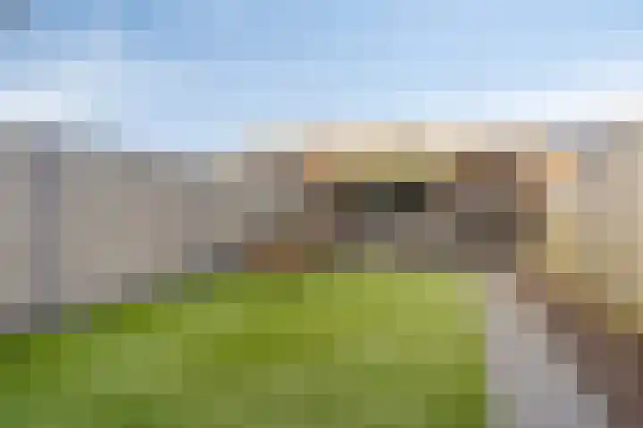 Glazenmaker 46 Epe thumbnail 8