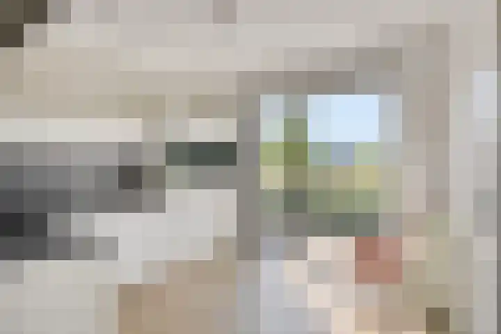 Glazenmaker 50 Epe thumbnail 10