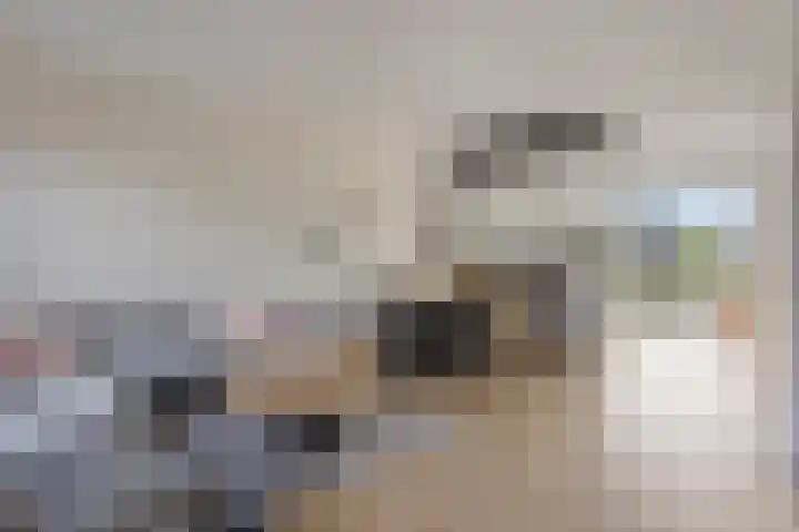 Glazenmaker 50 Epe foto 2