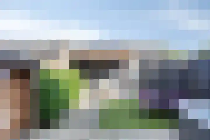 Glazenmaker 50 Epe thumbnail 22