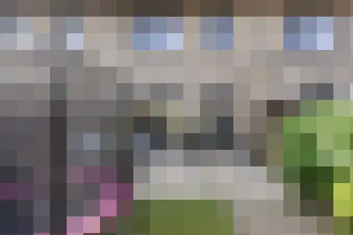 Glazenmaker 50 Epe thumbnail 23