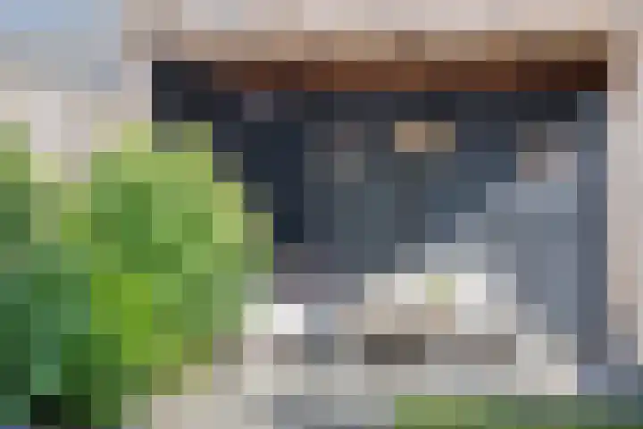 Glazenmaker 50 Epe thumbnail 26