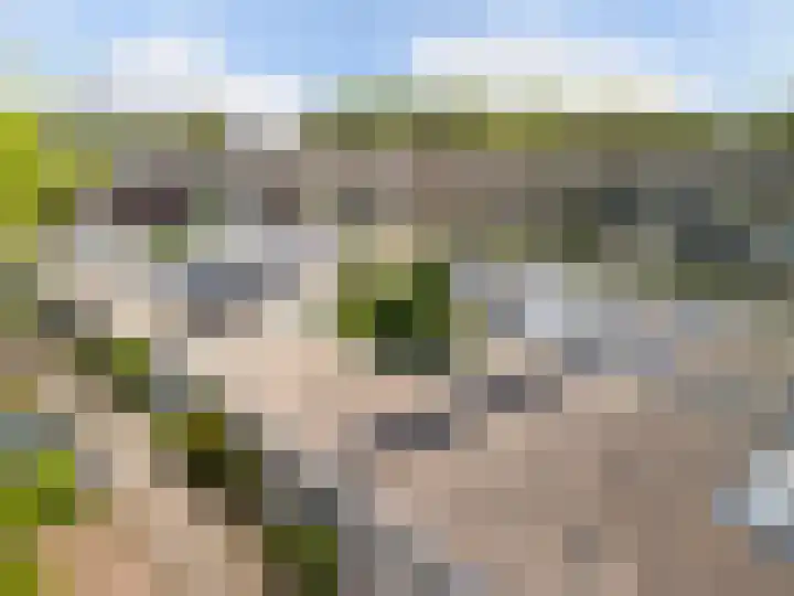 Glazenmaker 50 Epe thumbnail 27