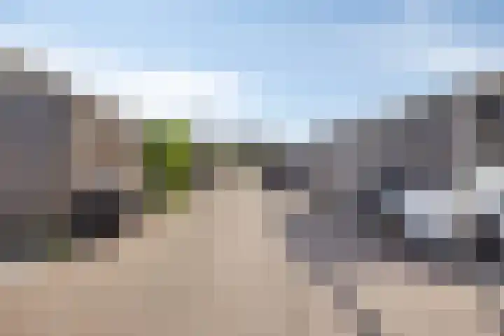 Glazenmaker 50 Epe thumbnail 29