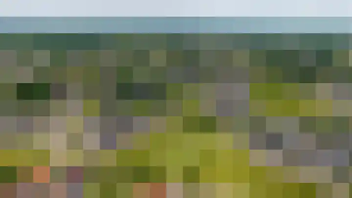 Glazenmaker 50 Epe thumbnail 31