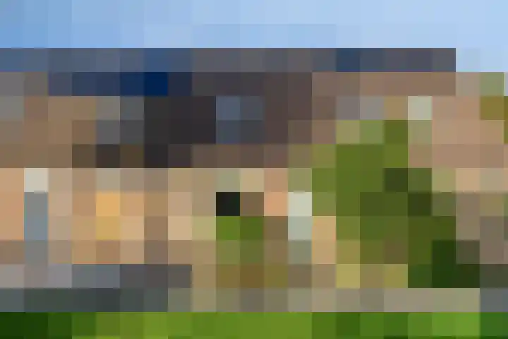 Glazenmaker 50 Epe thumbnail 33