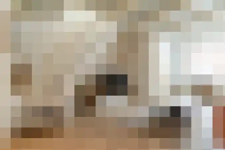 Glazenmaker 50 Epe thumbnail 37