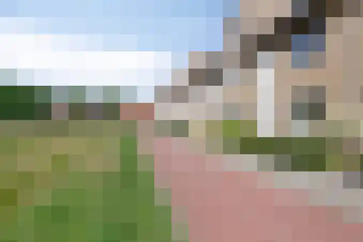 Glazenmaker 50 Epe thumbnail 4