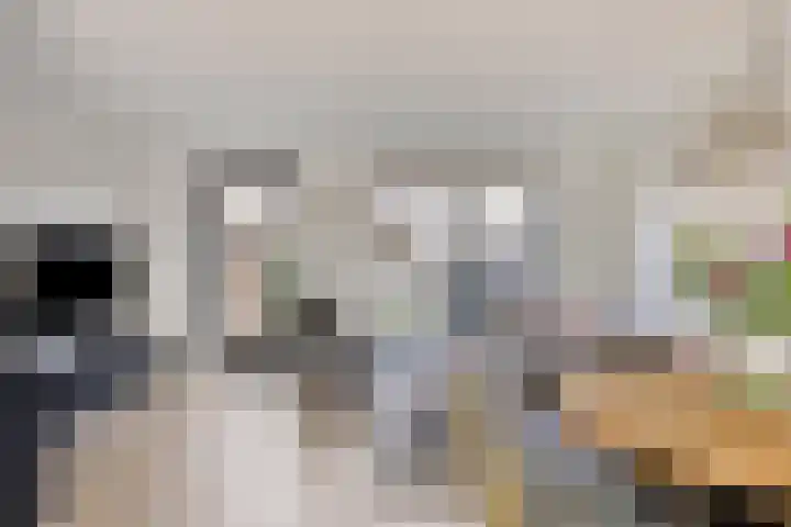 Glazenmaker 50 Epe thumbnail 7