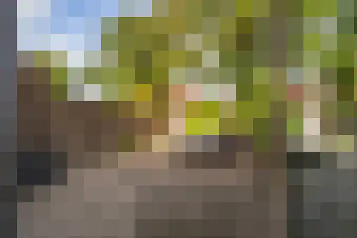 Glazenmakerhof 10 Den Haag thumbnail 11