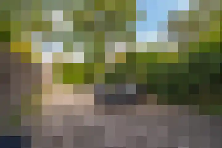 Glazenmakerhof 10 Den Haag thumbnail 12