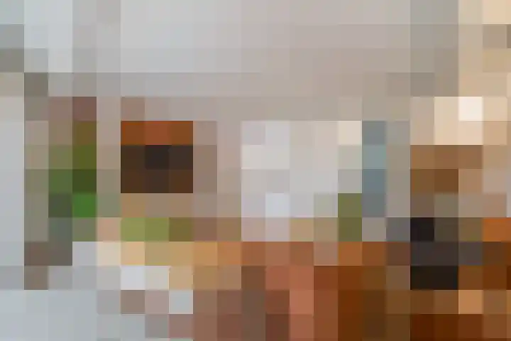 Glazenmakerhof 10 Den Haag thumbnail 15
