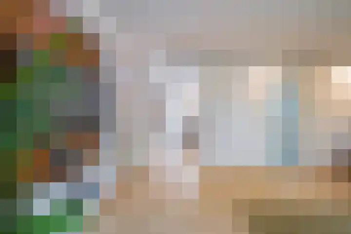 Glazenmakerhof 10 Den Haag thumbnail 16