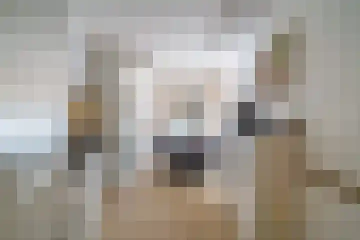Glazenmakerhof 10 Den Haag thumbnail 17