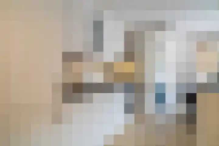 Glazenmakerhof 10 Den Haag thumbnail 18