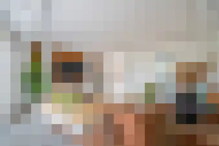 Glazenmakerhof 10 Den Haag thumbnail 26