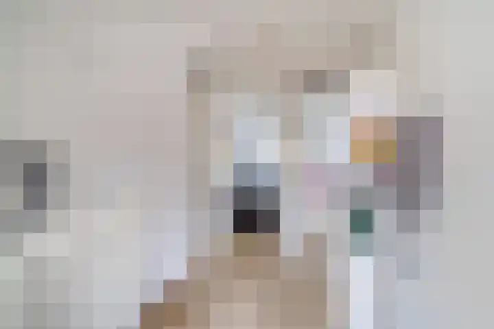 Glazenmakerhof 10 Den Haag thumbnail 27