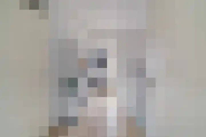 Glazenmakerhof 10 Den Haag thumbnail 32