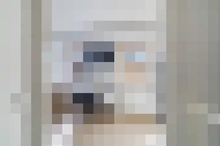 Glazenmakerhof 10 Den Haag thumbnail 33