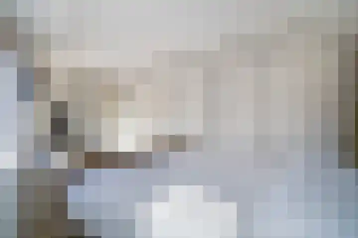 Glazenmakerhof 10 Den Haag thumbnail 35