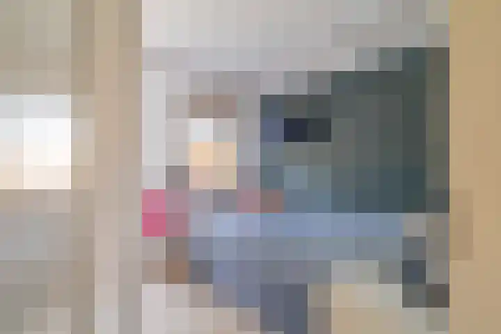 Glazenmakerhof 10 Den Haag thumbnail 36