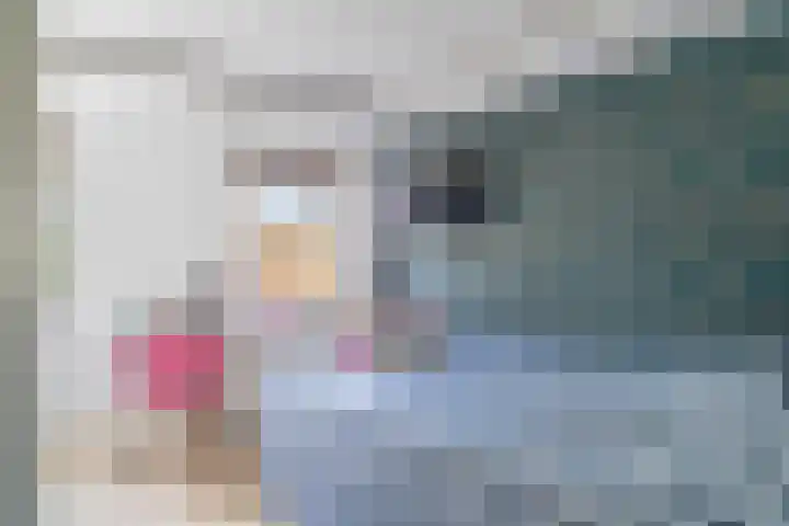 Glazenmakerhof 10 Den Haag thumbnail 37