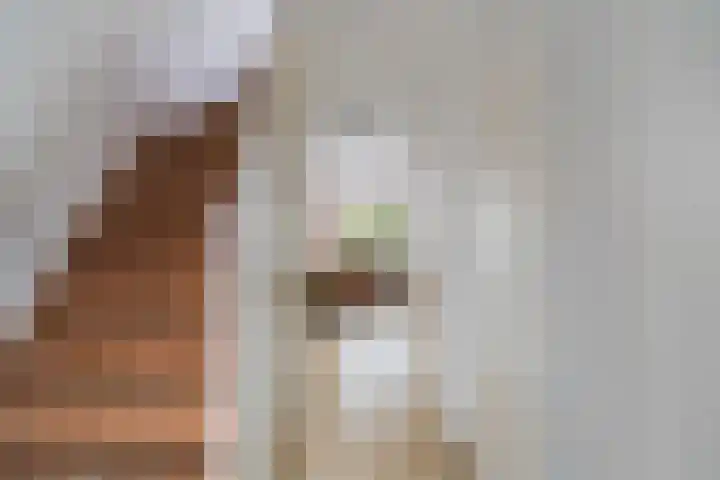 Glazenmakerhof 10 Den Haag thumbnail 6