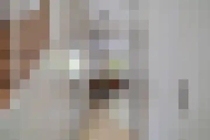 Glazenmakerhof 10 Den Haag thumbnail 7
