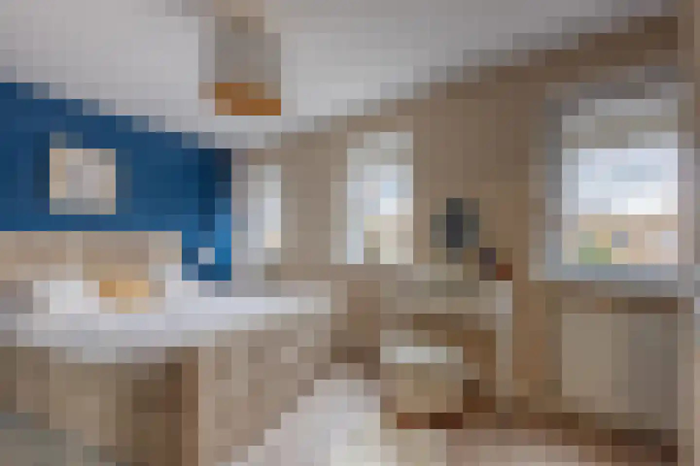 Glazenmakerhof 110 Den Haag thumbnail 20