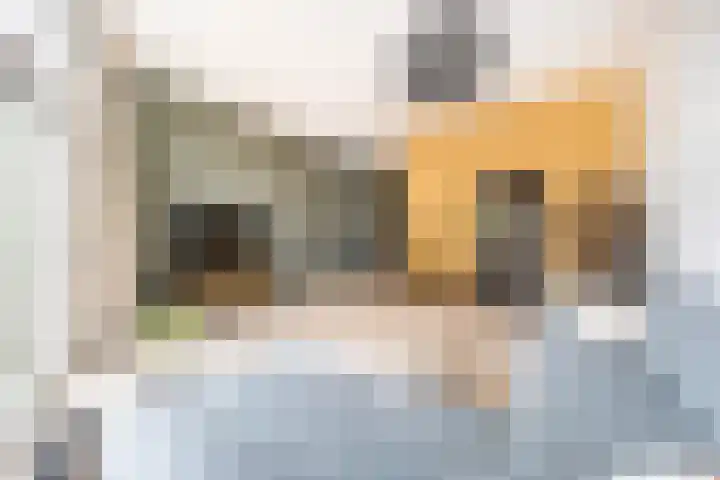 Glazenmakerhof 120 Den Haag thumbnail 11