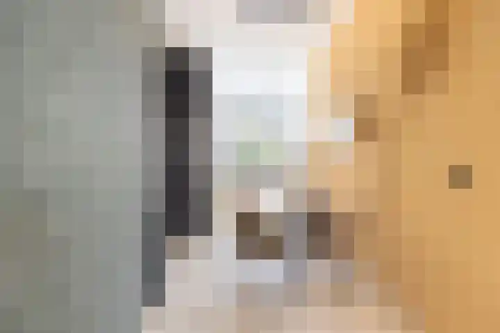 Glazenmakerhof 120 Den Haag thumbnail 13
