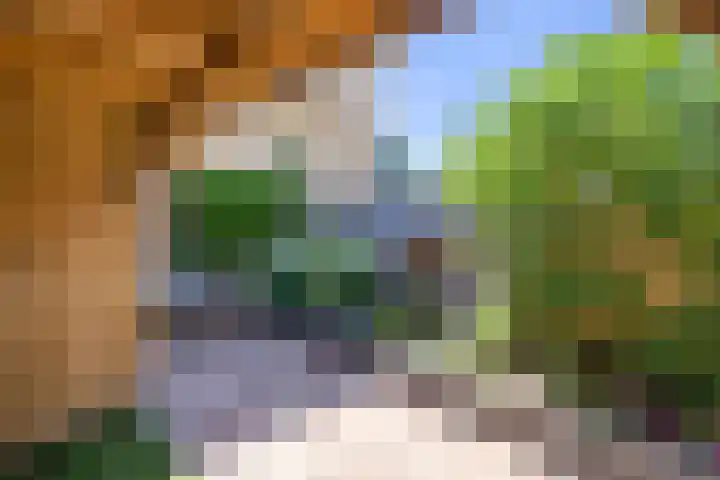 Glazenmakerhof 120 Den Haag thumbnail 19