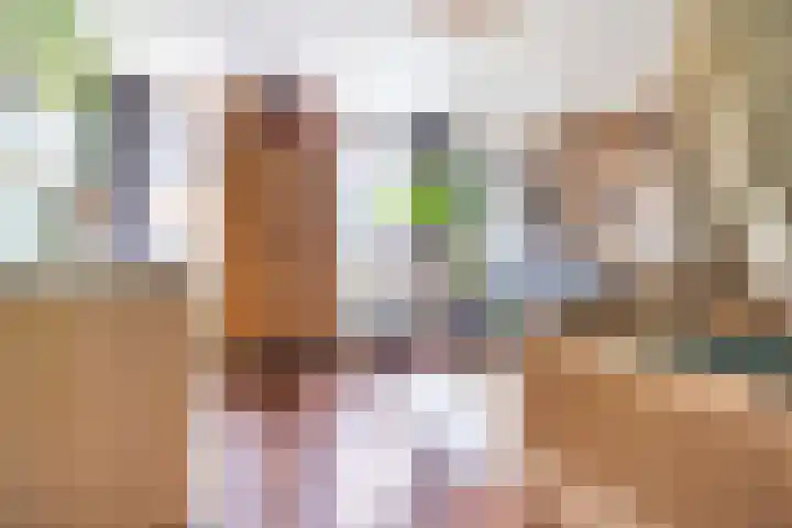 Glazenmakerhof 120 Den Haag thumbnail 27