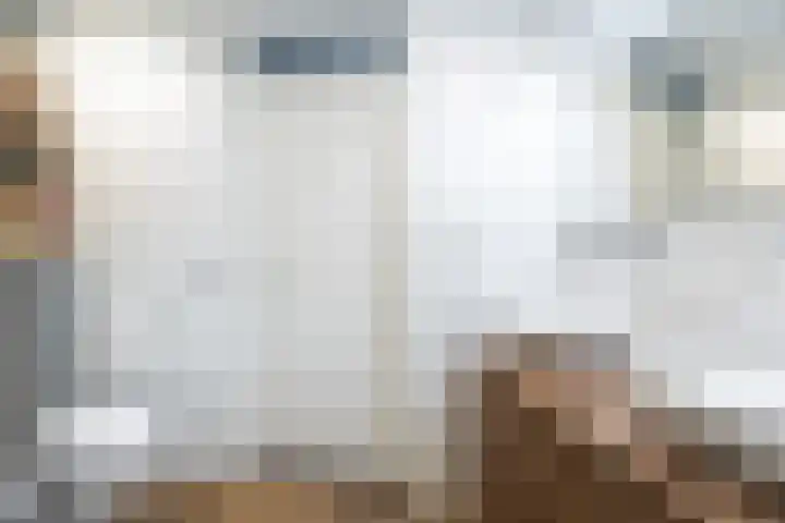 Glazenmakerhof 120 Den Haag thumbnail 30