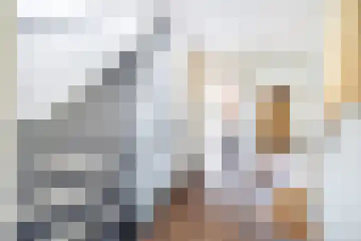 Glazenmakerhof 120 Den Haag thumbnail 31