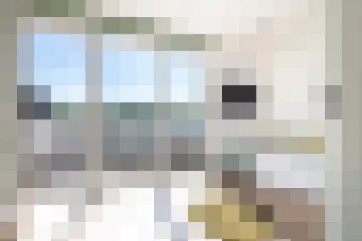 Glazenmakerhof 120 Den Haag thumbnail 35