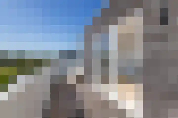 Glazenmakerhof 120 Den Haag thumbnail 37