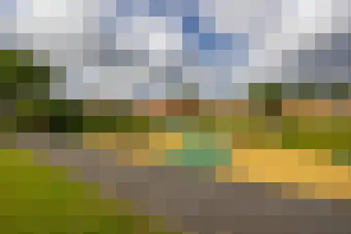 Glazenmakerhof 120 Den Haag thumbnail 42