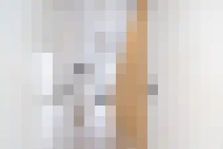 Glazenmakerhof 120 Den Haag thumbnail 9