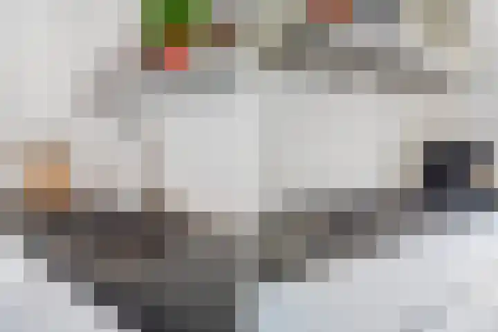 Glazenmakerhof 16 Den Haag thumbnail 18