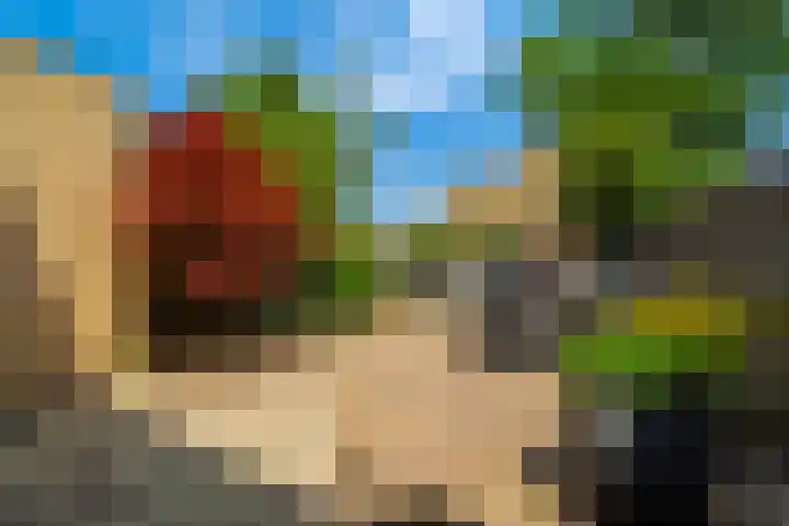 Glazenmakerhof 16 Den Haag thumbnail 20