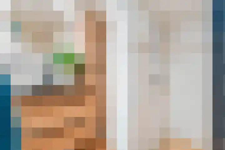 Glazenmakerhof 16 Den Haag thumbnail 41